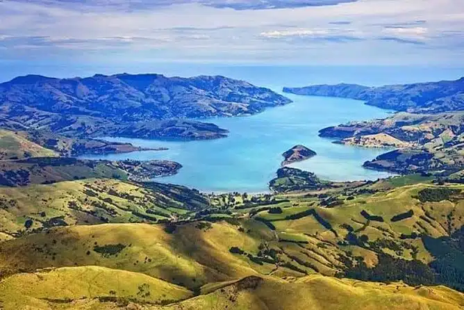 Lyttelton Shore Excursion: Twin Harbour Tour (Lyttelton & Akaroa)