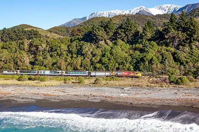 3 Day Kaikoura Sealife and Coach Tour from Christchurch