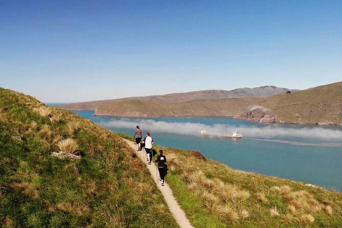 Lyttelton Shore Excursion – Guided Walking Tour and Picnic