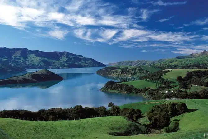 Akaroa Full Day Tour Including Harbor Nature Cruise from Christchurch