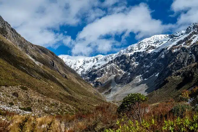 Arthurs Pass Day Tour With TranzAlpine and Jet Boat Ride