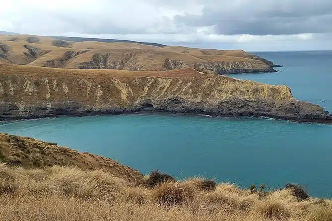 The Christchurch Story (Full Day Private)