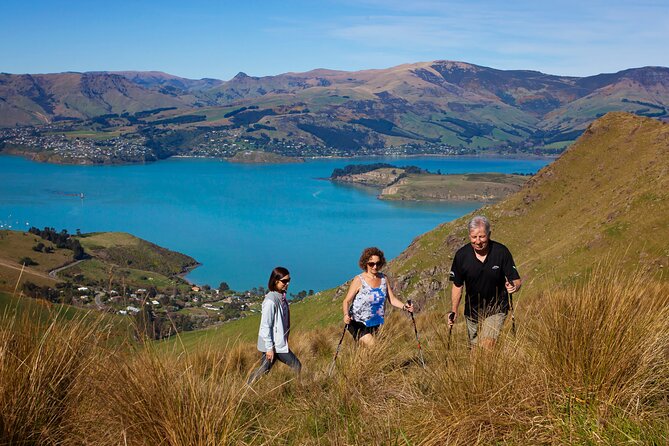 Luxury Private Guided Crater Rim Walk on Banks Peninsula