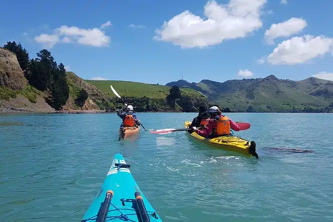 Private Sea Kayaking Tour from Christchurch/Lyttleton