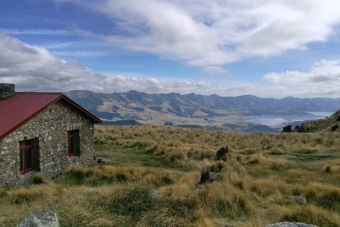 Private walking Tour – Packhorse Hut from Christchurch