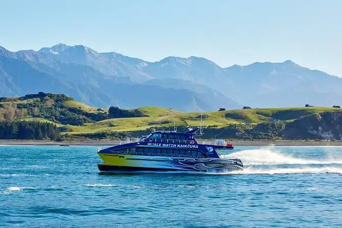 Kaikoura Whale Watch Day Tour from Christchurch